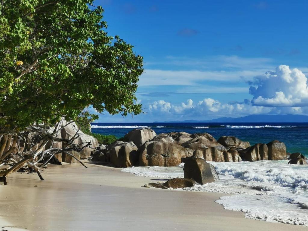 Awesome Charlie D Villas Anse Kerlan  Экстерьер фото